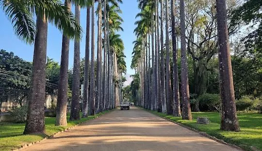Apartamento Jardim Botânico-1